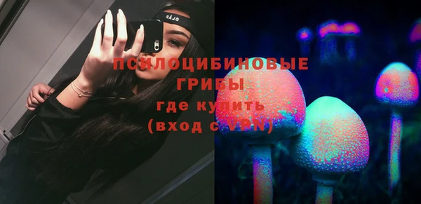 мяу мяу мука Баксан