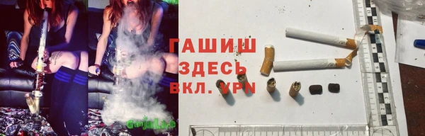 мяу мяу мука Баксан