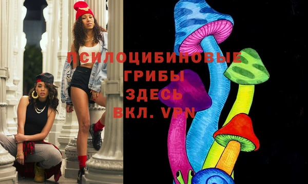 мяу мяу мука Баксан