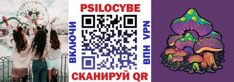 Псилоцибиновые грибы Psilocybe  Гремячинск 
